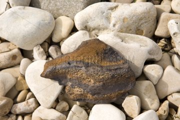 Pebble with high iron content on Ré Island France