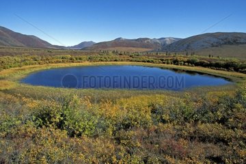 Small circular lake in the tundra in autumn Yukon Canada