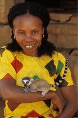 Jeune Maki catta recueilli par une femme Madagascar