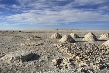Ausbeutung von Salz im Salar Uyuni -Altiplano von Bolivien
