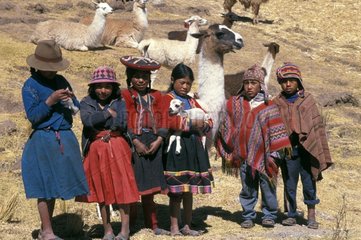 Children and Lamas herd Cuzco Region Peru