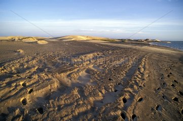 Sandstrand mit Baja in Kalifornien