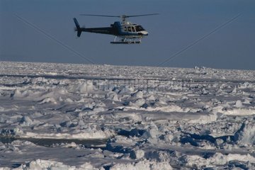 Hubschrauber oben auf dem Rudel und der Astrolabe Antarktis gesehen