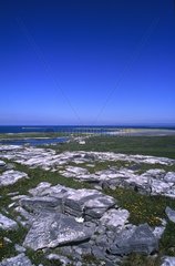 Aran  île d'Inishmore  murets de pierre