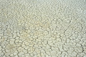 Clay ground cracked by the dryness
