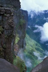 Cliff of the Roraima in fog Venezuela