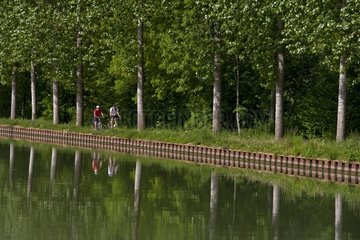 Cyclists along the Bourgogne Canal France