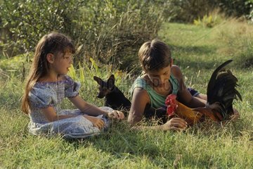 Children sitting in the grass with Pinscher dog and cock