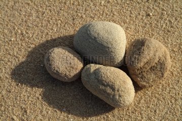 Pebbles on a beach sand Australia
