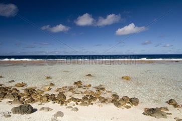 Beach sand and pebbles Atoll Fakarava Tuamotu Polynesia