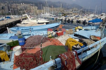 Marina and fishing port of Monaco
