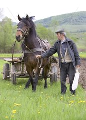 Landwirt in der Nähe eines Pferdes genutzt  um in Feldern Rumänien zu arbeiten