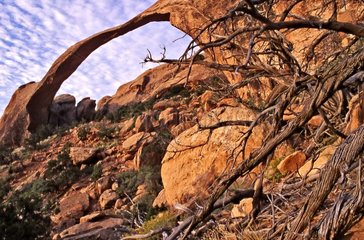 Sandsteinbögen des Landschaftsbogens in den PN Arches USA