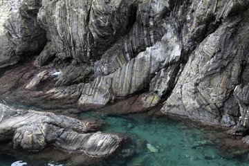Metamorphic rock in Manarola NP Cinque Terre Liguria
