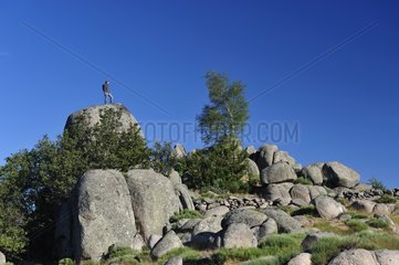 Hiker on a block of granite from the chaos of Runes Cévennes