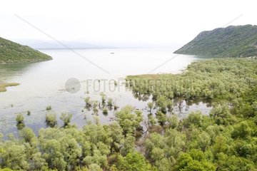 Lake Skadar Nationalpark