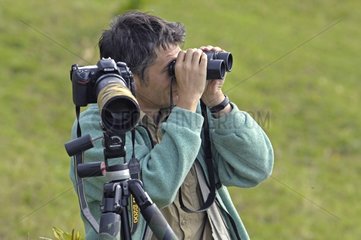 Animal photographer observing before shooting