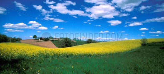 Panoramic photography of fields in Tarn France