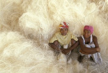 Femmes assises devant des fibres de sisal avant le tressage