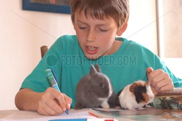 Enfant avec un lapin et un cobaye