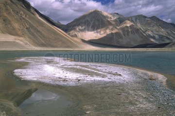 Salt Lake von Pangong TSO bei 4760 m. Höhe Ladakh India