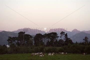 Lever de Lune Prés de Paarl Provinz du Cap