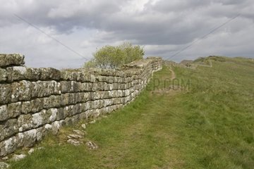 Hadrian's Roman Wall Northumberland United-Kingdom