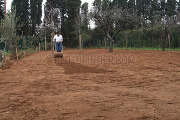 Man using a roll after sowing the lawn