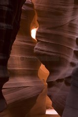 Stoneware canyon of Antelope Canyon Arizona USA