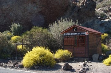 Informationspunkt Nationalpark der Teide -Kanarien
