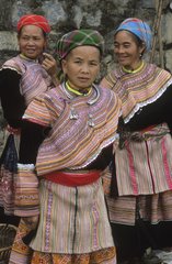 H'Mong Blumenfrauen in traditioneller Kleidung Bac ha vietnam