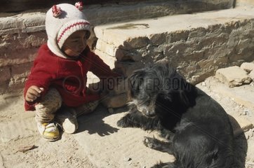 Kind interessiert sich für einen Hund  der Nepal zurückbringt