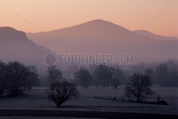 Morgennebel auf Relierfs Loire Valley Frankreich