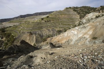 Asbest hat die Mine während der Wiederaufforstung Zypern aufgegeben