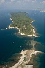 Luftaufnahme der Insel Saint-Honorat