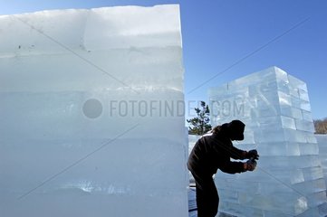 Skulptur auf Eis Montbeliard zweifeln