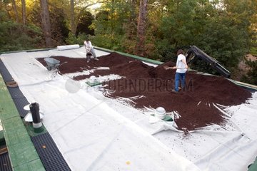 Pose as a substrate for production of a green roof