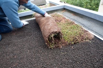 Installation of a vegetated mats on Puzzolane on a roof