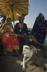 Hund sitzt am Fuß eines Paares  das Uttar Pradesh heiratet