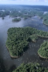 Air shot of the dam of Petit Seau French Guiana