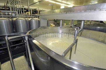 Mashing the coagulate Dairy Industrial France