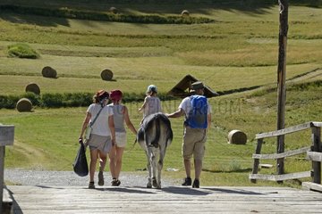 Family walk with a donkey - Alpes France