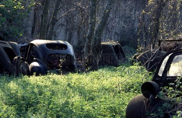 Graveyard of old abandoned cars
