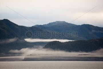 Fog and coastal forests of the region of Juneau Alaska USA