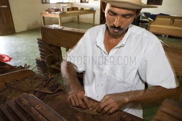 Zigarrenhersteller Panama