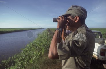 ONCFS guard seeing through binoculars French Guiana