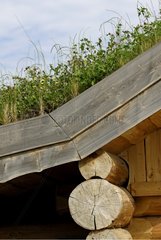 Pflanztes Dach auf hÃ¶lzernen Chalet -Vosges Massiv Frankreich