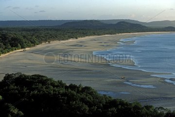 Plage à marée basse bordée de forêt Queensland Australie