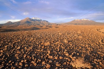 San Pedro de Atacama  l'Altiplano