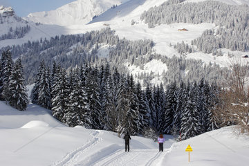 Cross Country Skiing - Aravis Alps France